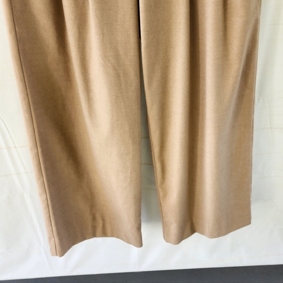 Banana Republic Pleated Wide Leg Tan Pants - Picture 4 of 10